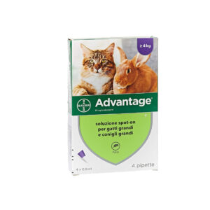 ADVANTAGE GATTO, Elanco, antiparassitario spot-on per gatti, antiparassitario spot-on per conigli,