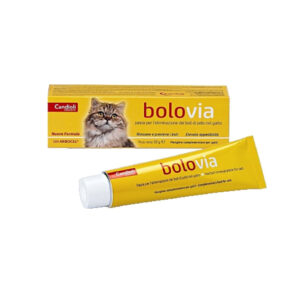 BOLO VIA CANDIOLI Candioli