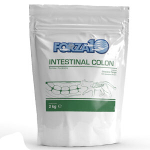 FORZA10 ACTIVE - INTESTINAL COLON Forza10
