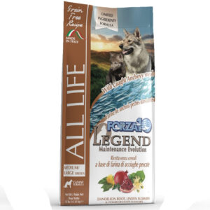 FORZA10 LEGEND ALL LIFE - M/L Forza10