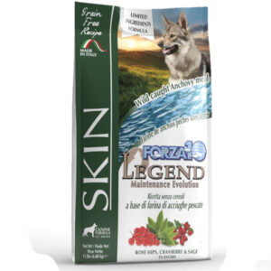 FORZA10 LEGEND SKIN Forza10