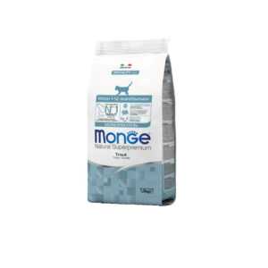 MONGE KITTEN Monge