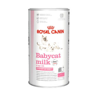 Royal Canin Baby Cat Milk, Royal canin Latte gatto, latte royal canin per gatti, bBabycat milk royal canin,