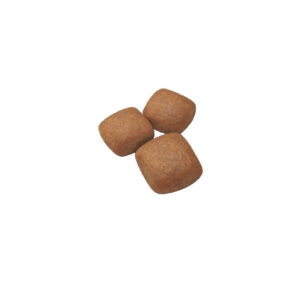 ROYAL CANIN GIANT JUNIOR Royal Canin