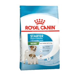 Royal Canin Mini Starter Mother & Babydog, Royal canin crocchette per cani, royal canin babydog, royal canin secco babydog,