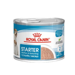 ROYAL CANIN STARTER MOUSSE MOTHER & BABYDOG Royal Canin
