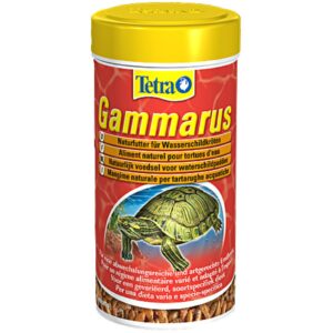 TETRA GAMMARUS Tetra