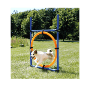 Trixie Anello Fun Agility,