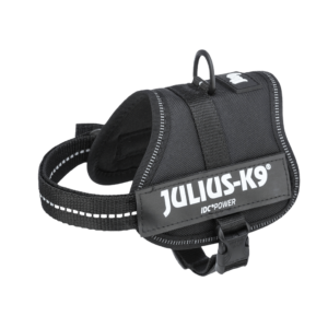 Julius K-9 Mini, Julius K-9 Mini/M,