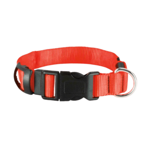 collare rosso per cani,
