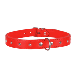 Trixie Collare in cuoio con borchie,