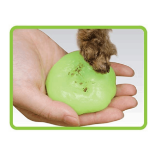 PawCare