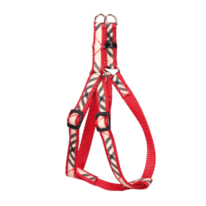 Pettorina Bengy, pettonina in nylon per cani,