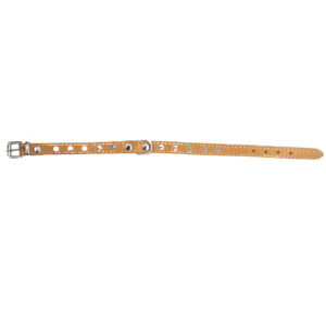 Trixie Collare Basic con Borchie Naturale, Trixie,