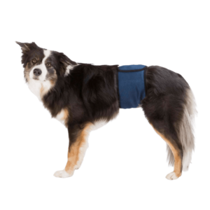 Trixie Fascia Igienica per Cani Maschi, Trixie,