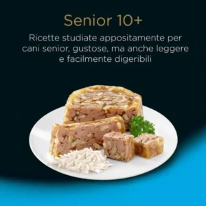 Cesar senior 10+