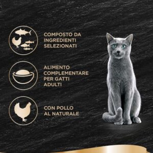 filetti sheba,