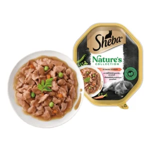 sheba salmone