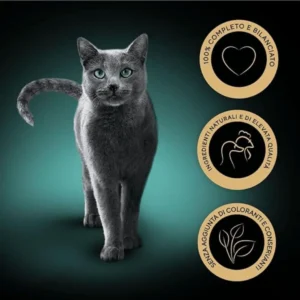 sheba pate,