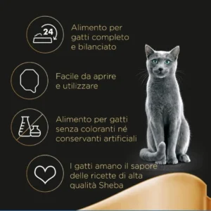 sheba selezioni in salsa,