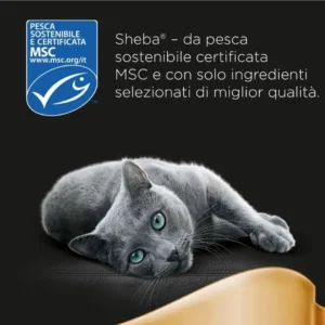 sheba gusto tonno