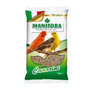 Manitoba Canarini T1 Biscuit