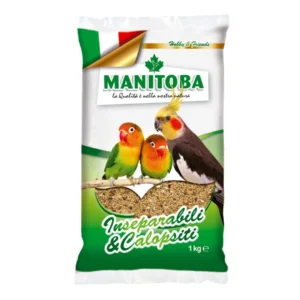 Manitoba Inseparabili e Calopsiti