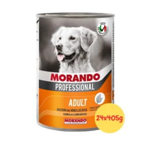 Morando umido cane adult