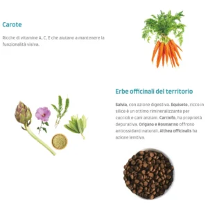 Ingredienti crocchette althea super premium