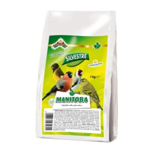 Manitoba pastoncino per cardellini